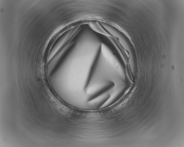 X0000080201029200612221400