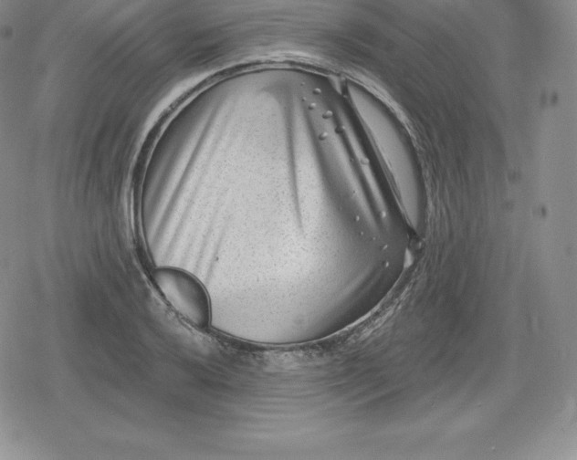 X0000080201032200612221400