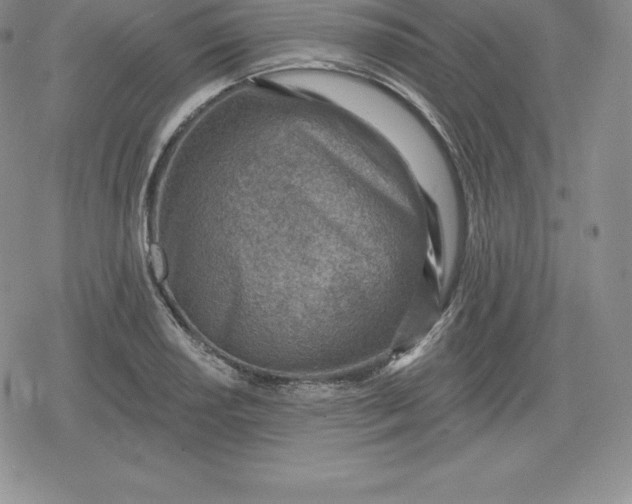 X0000080201034200612221400