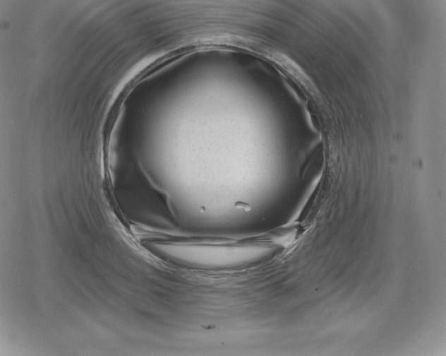 X0000080201036200612221400