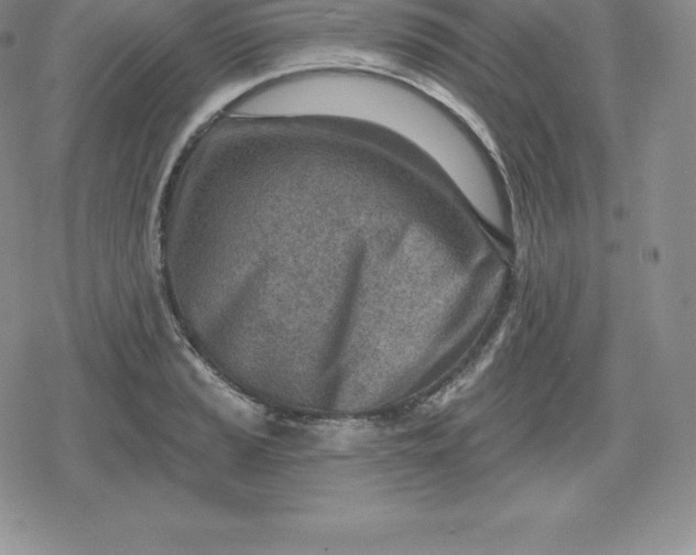 X0000080201037200612221400