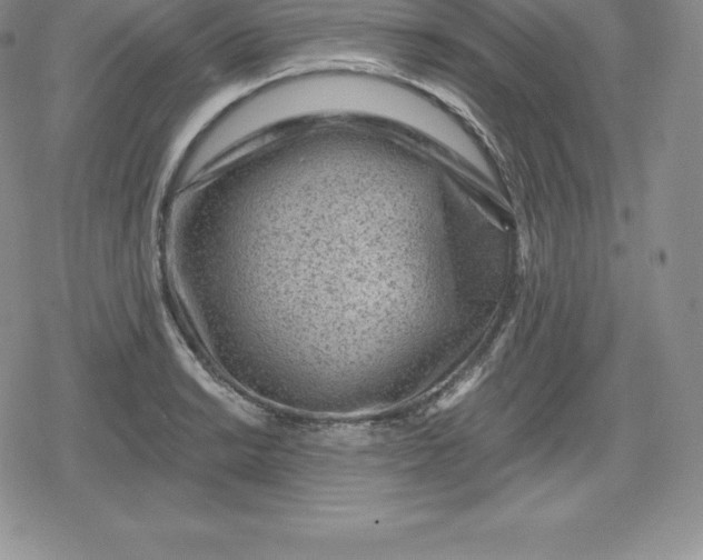 X0000080201038200612221400