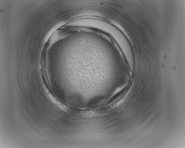 X0000080201042200612221400