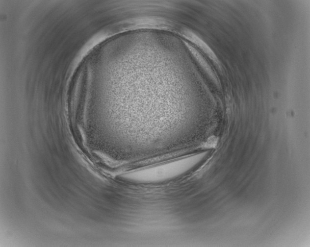 X0000080201043200612221400