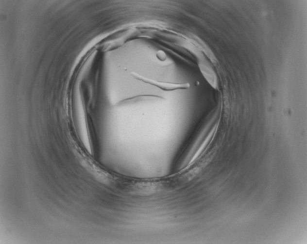 X0000080201044200612221400