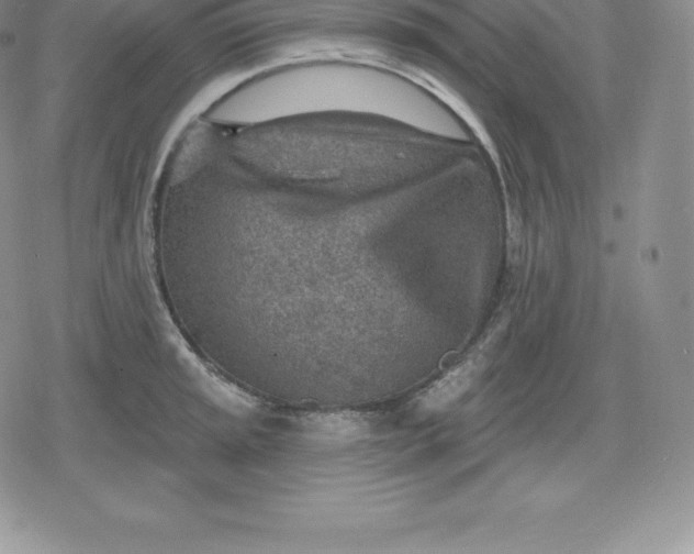 X0000080201045200612221400