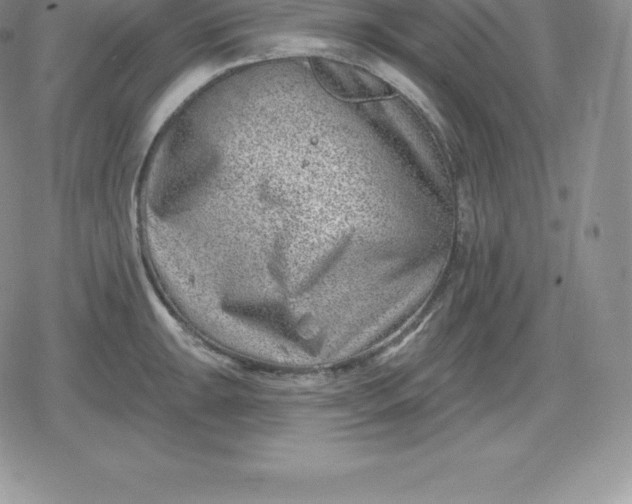 X0000080201047200612221400