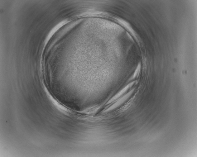 X0000080201050200612221401