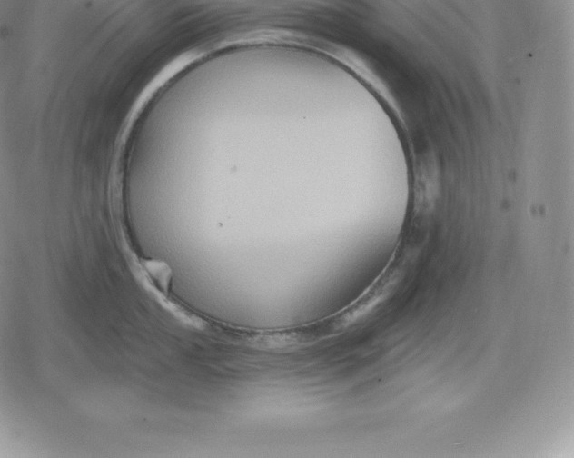 X0000080201053200612221401