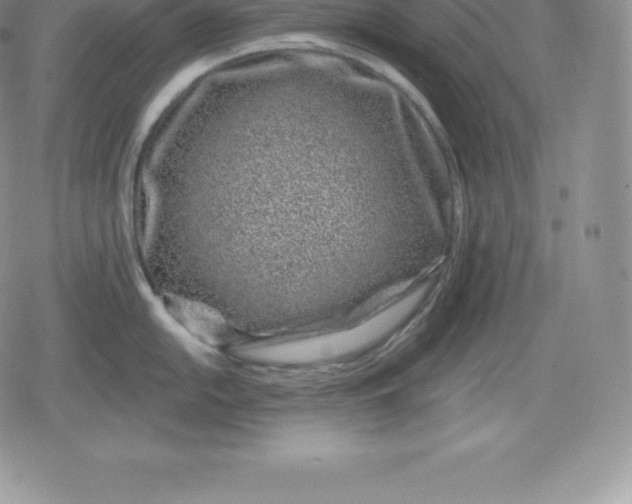 X0000080201054200612221401