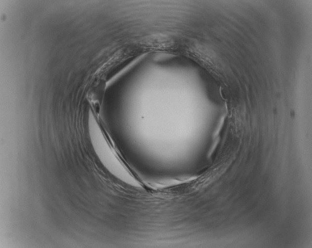 X0000080201058200612221400