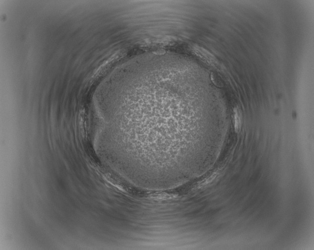 X0000080201059200612221400