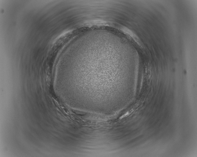 X0000080201063200612221400