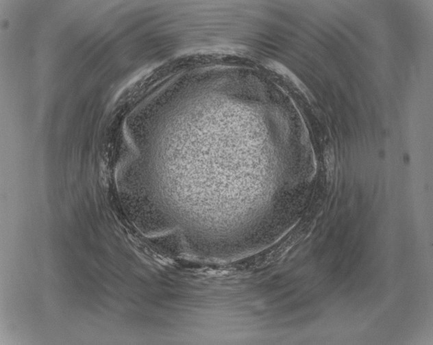 X0000080201064200612221400