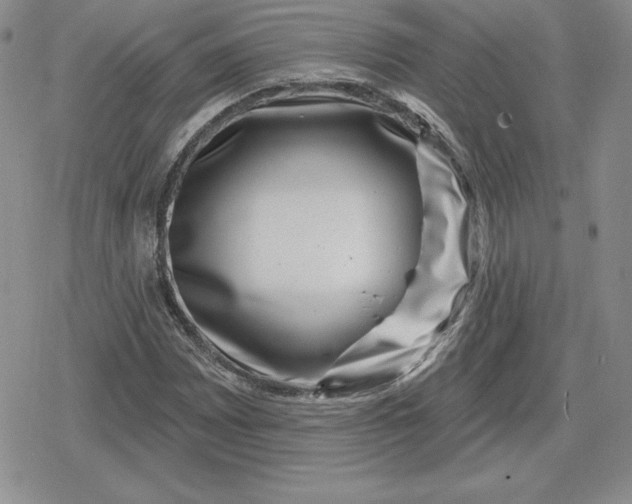 X0000080201065200612221400