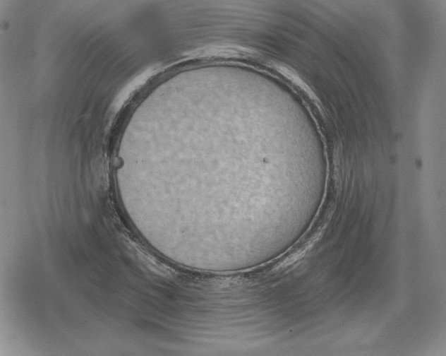 X0000080201067200612221400