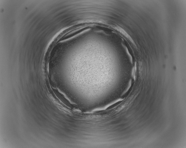 X0000080201068200612221400