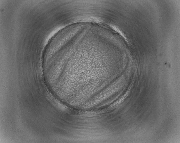 X0000080201071200612221400