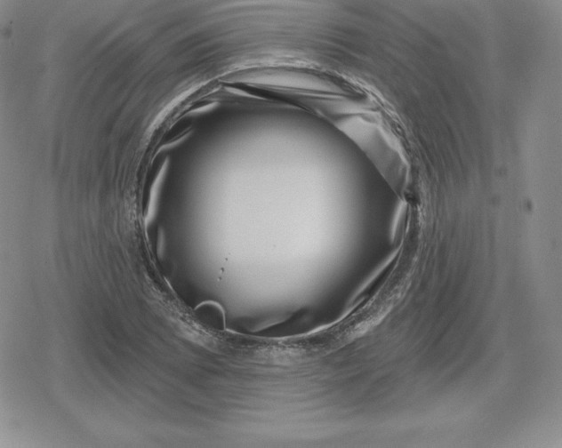 X0000080201073200612221400