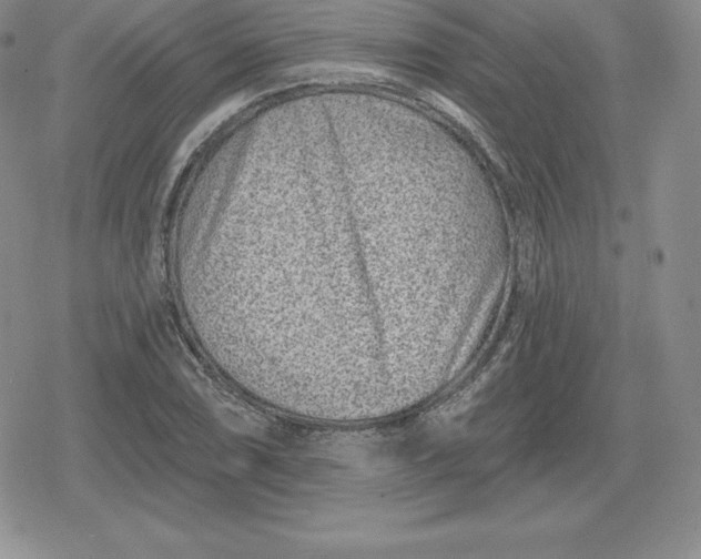 X0000080201074200612221400