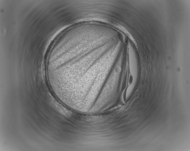 X0000080201076200612221400