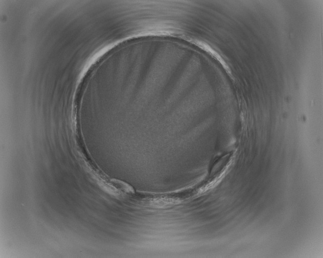 X0000080201077200612221400