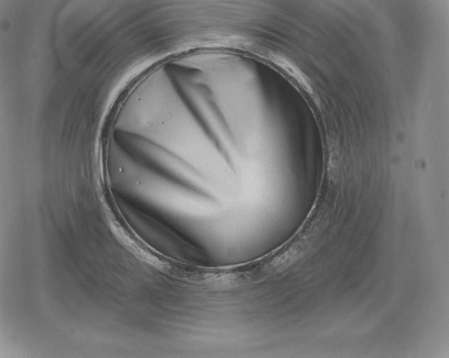 X0000080201080200612221359