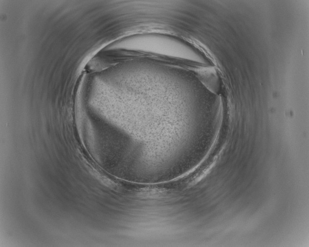 X0000080201081200612221359