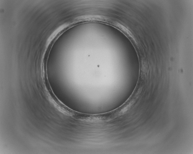 X0000080201082200612221359