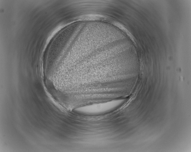 X0000080201083200612221359