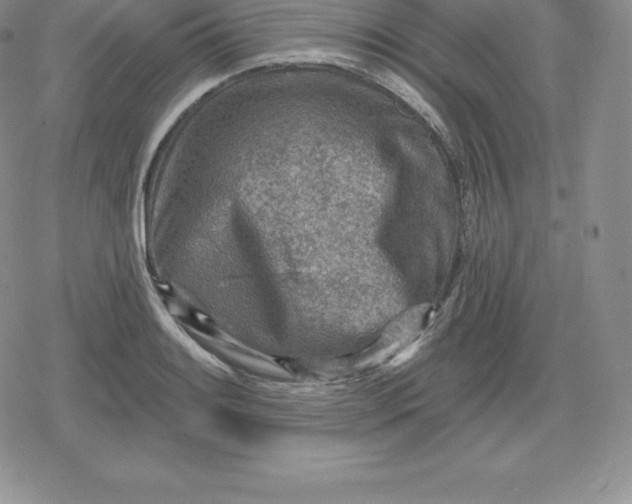 X0000080201084200612221359