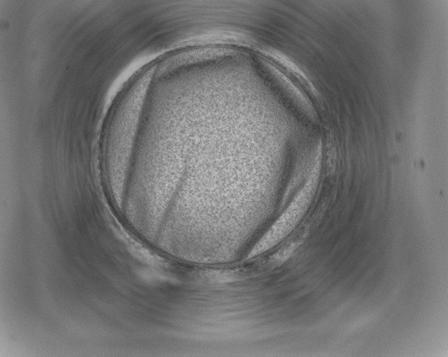 X0000080201086200612221359