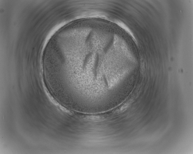 X0000080201088200612221359