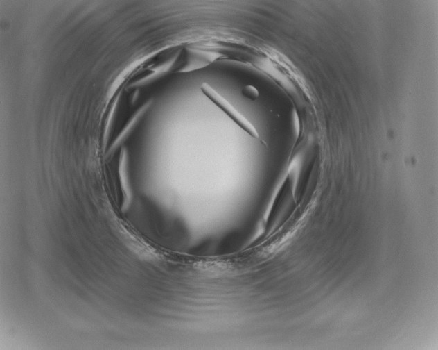 X0000080201089200612221359