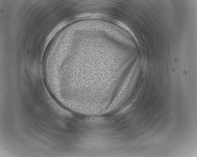 X0000080201090200612221359