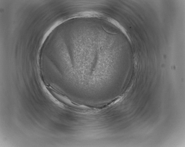 X0000080201091200612221359