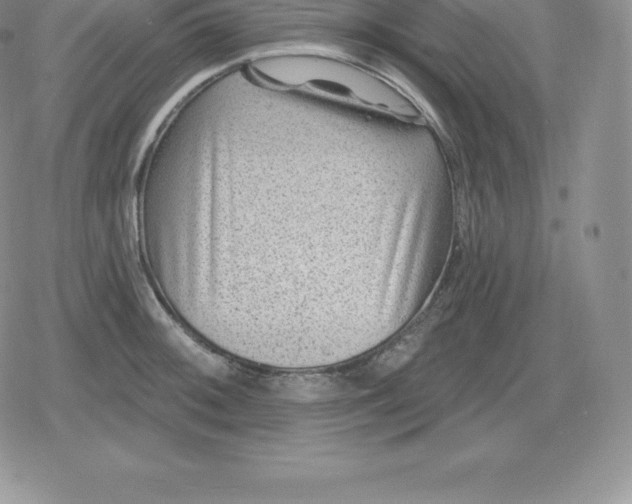 X0000080201092200612221359