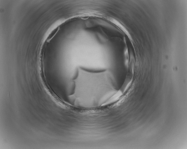 X0000080201093200612221359