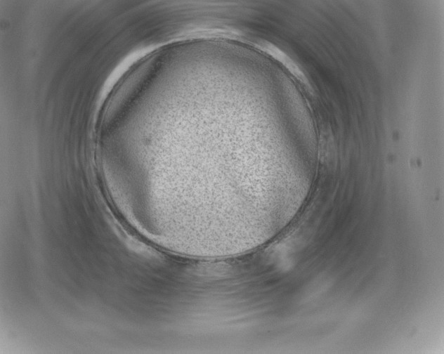 X0000080201094200612221359