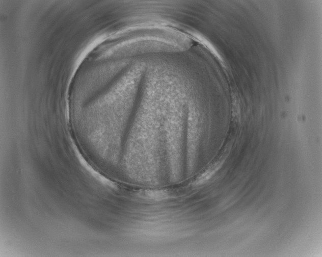 X0000080201095200612221359