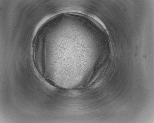 X0000080201096200612221359