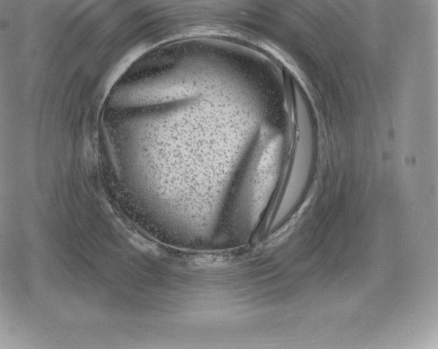 X0000080201097200612221359