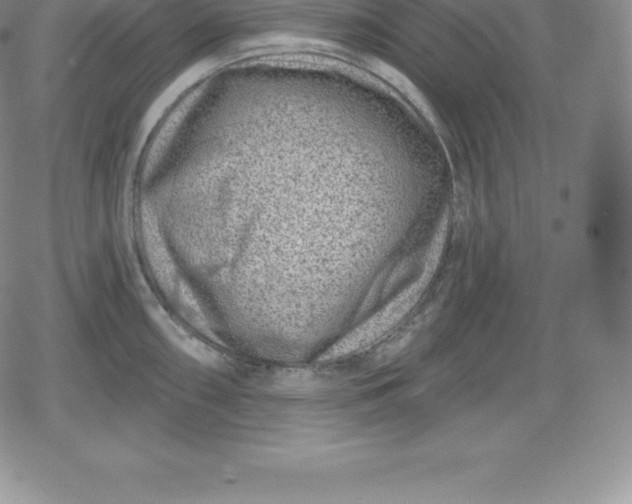 X0000080201098200612221359