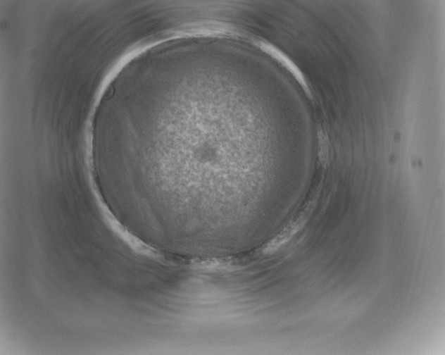 X0000080201099200612221359