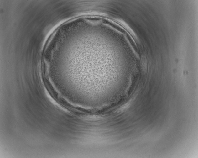 X0000080201100200612221359