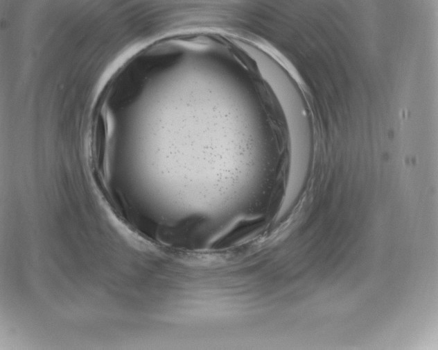 X0000080201101200612221359