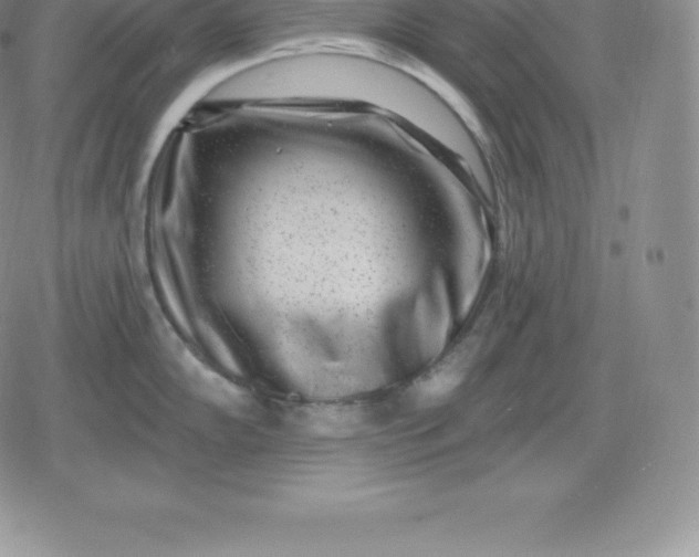 X0000080201102200612221359