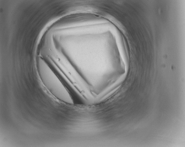 X0000080201104200612221359