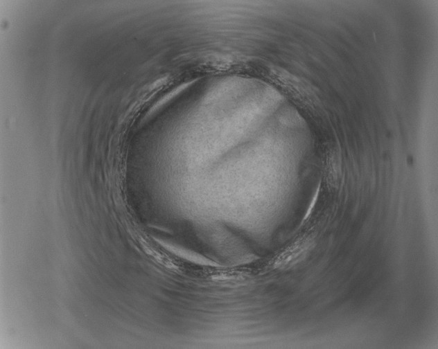 X0000080201105200612221358