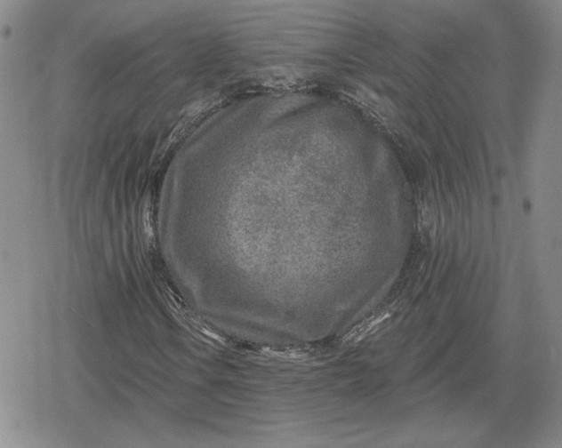 X0000080201106200612221358